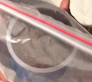 placing the coco eat cups inside zip lock bags